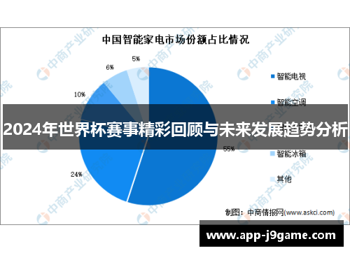 2024年世界杯赛事精彩回顾与未来发展趋势分析