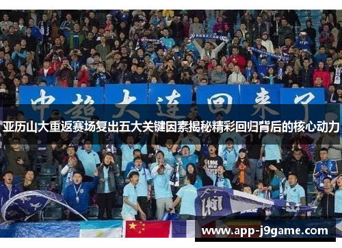 亚历山大重返赛场复出五大关键因素揭秘精彩回归背后的核心动力