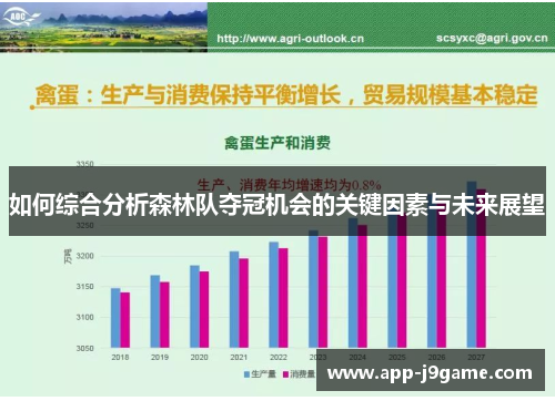 如何综合分析森林队夺冠机会的关键因素与未来展望