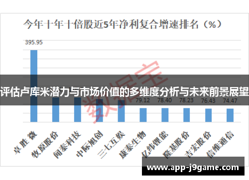 评估卢库米潜力与市场价值的多维度分析与未来前景展望